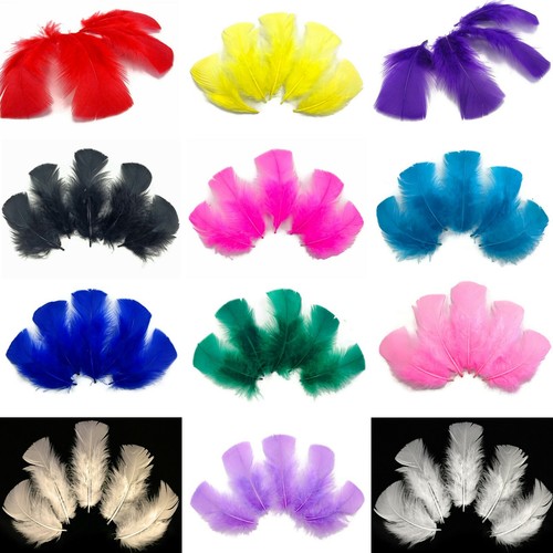 Turkey feathers per pack - turkey,