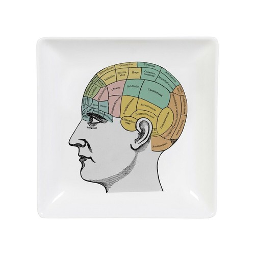 Phrenology trinket tray - phrenology,
