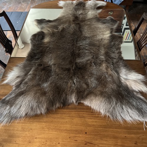 Animal hide rug elk - animal, elk/caribou