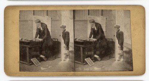 Stereoview stereoscope card - stereoview,