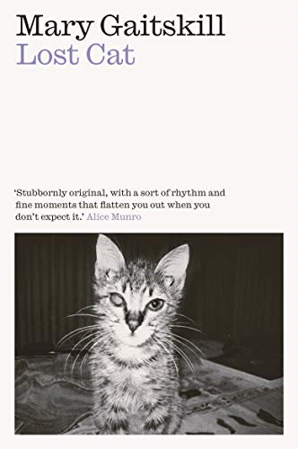 Lost cat memoir mary - lost, cat: