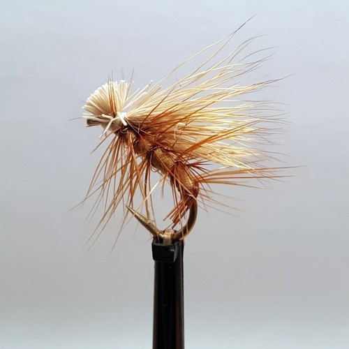Elk hair caddis - x,