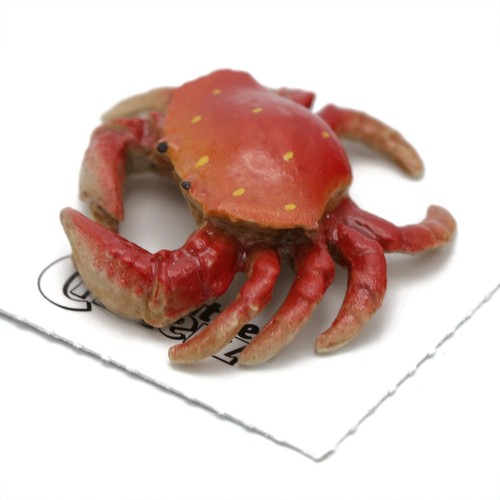 Little critterz crab - critterz,