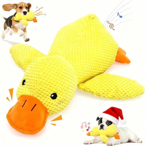 Calming duck dog - calming,