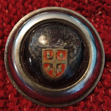 AUSTIN GRILL BADGE 7/36795/2 -