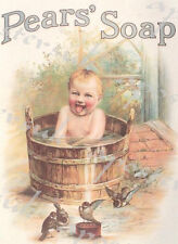 Early Twentieth Century Pears