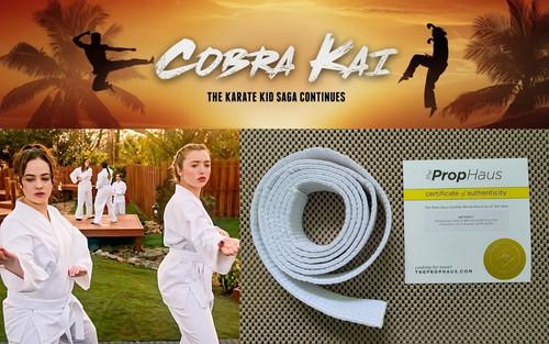 Cobra kai screen used - kai:,