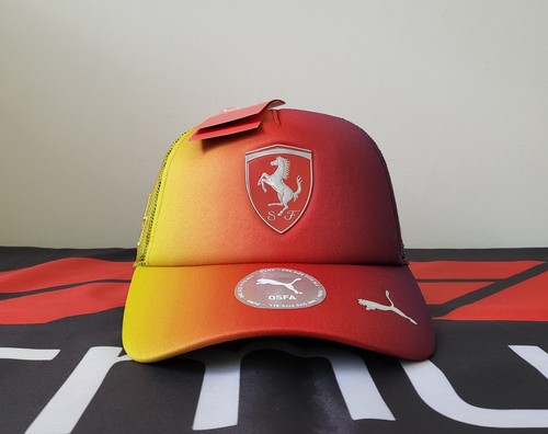 Ferrari 2025 team - ferrari, lewis