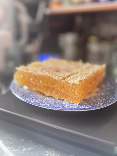 Vacuum sealed honeycomb - vacuum,
