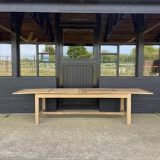 Large long danish elm - large, mango