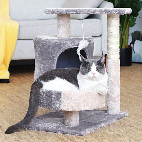 Large cat tree activity - cat,