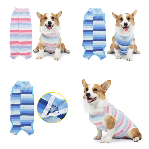 Pet dog wear - pet, surgical