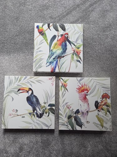 Set tropical bird canvas - of,