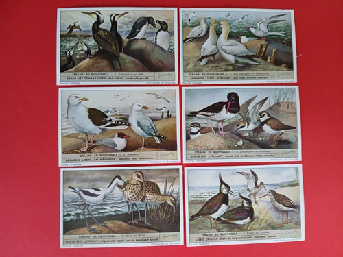 Liebig cards dutch s - cards, s-1610