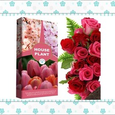 House Plant Compost 10 Litres