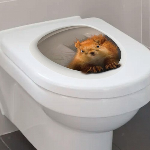 Toilet seat lid sticker - sticker, funny