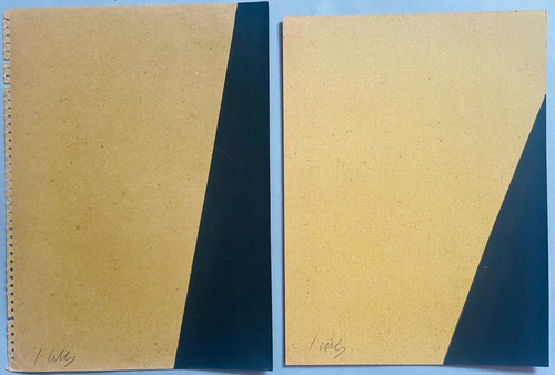 Ellsworth kelly black hard - x,