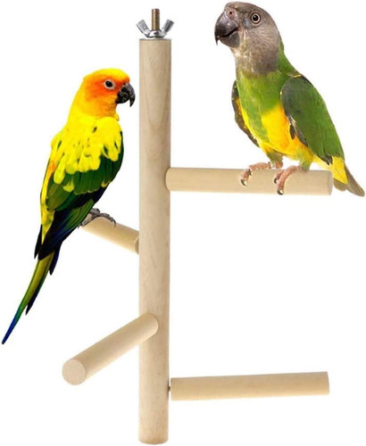 Bird perch stand - bird, natural