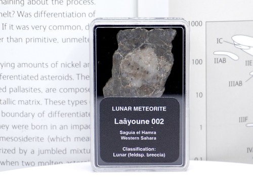 Laâyoune 002 lunar meteorite - lunar,