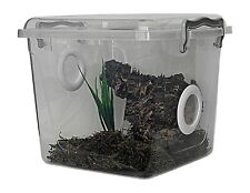 Praying Mantis,Stick