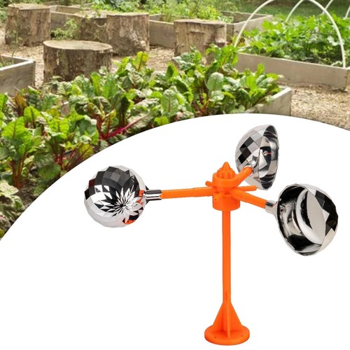 Seagulls scarer pigeon - scarer,,