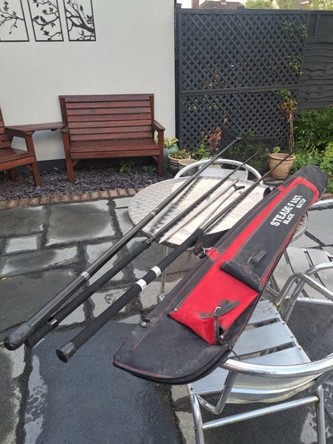 Line dominator carbon - 2,