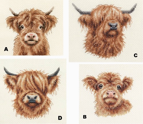 Highland cows calf full - calf,