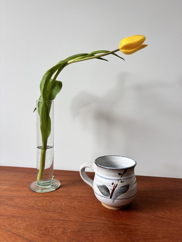Rashleigh studio pottery - rashleigh,