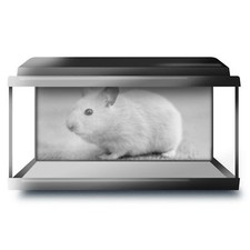 Fish Tank Background 90x45cm