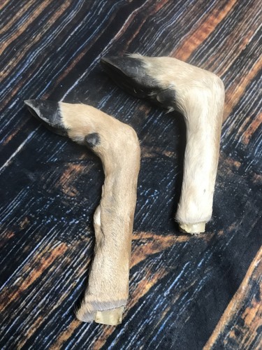 Bent deer feet cured knife - feet,