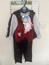Peppa Pig Dress Up Outfit