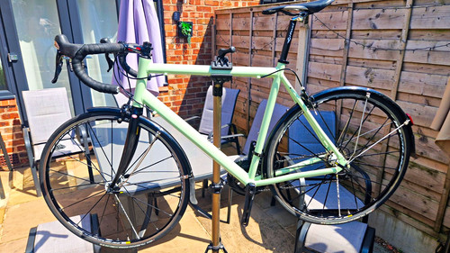 Tifosi ck7 pistachio - tifosi,