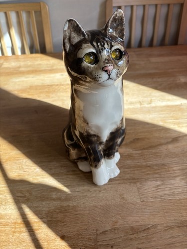 Winstanley cat size - cat, 6