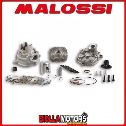 318884 cylinder malossi 50cc - 318884,