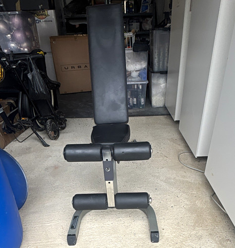 Body solid sit bench with - body-solid, up