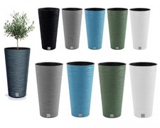 Tall round plant - tall,