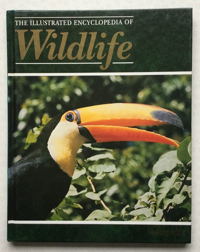 The illustrated encyclopedia - the,