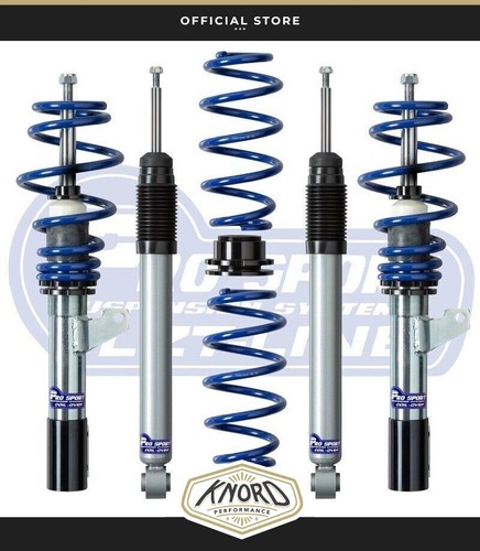 Prosport lzt line coilover kit - prosport, lzt-line