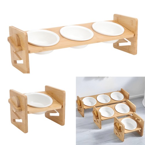 Pet bowl cat - cat, dog