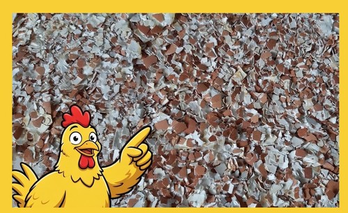 Finely crushed sterilised - crushed, egg