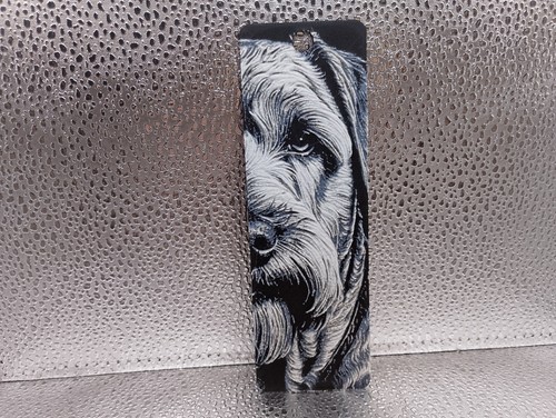 Soft coated wheaten terrier - soft,