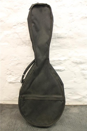 Mandolin soft case - soft,