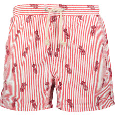 Mens Havacoa Swim Shorts Surf