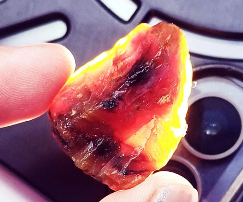 100 natural amber rough loose - amber,