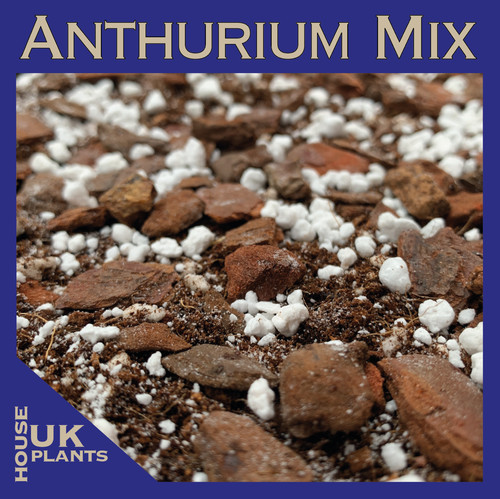 Anthurium soil mix - soil, (pest-free
