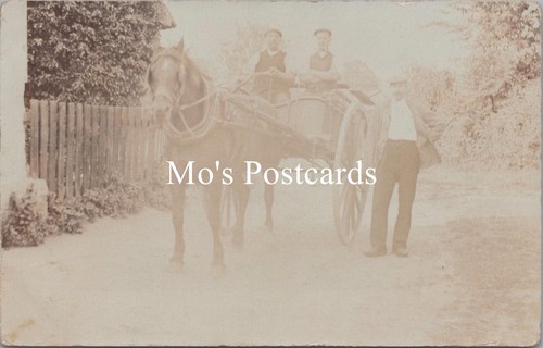 Norfolk postcard horse - postcard,