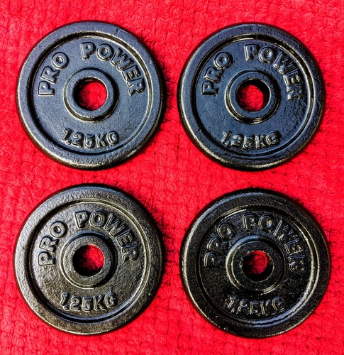 Pro power cast iron weight - pro,