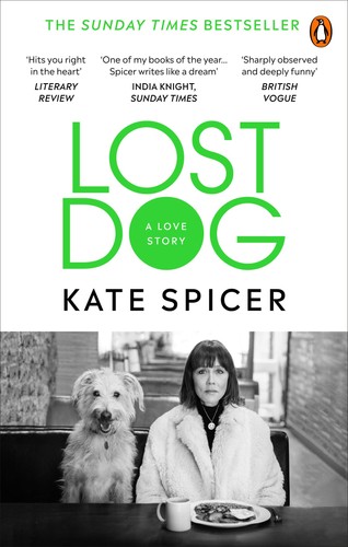 Lost dog love - lost, dog: