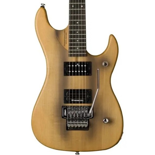 Washburn n24 nuno bettencourt - washburn,