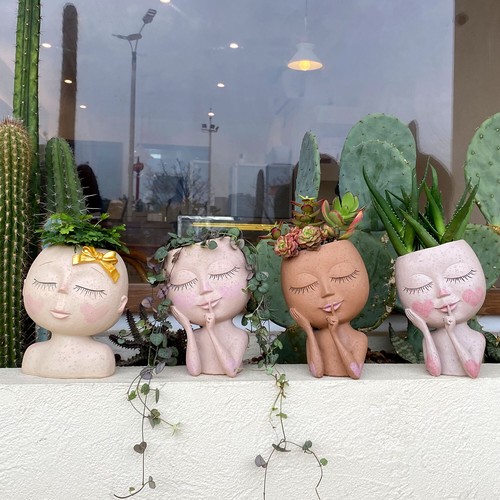 Face planters flower - planters, pots